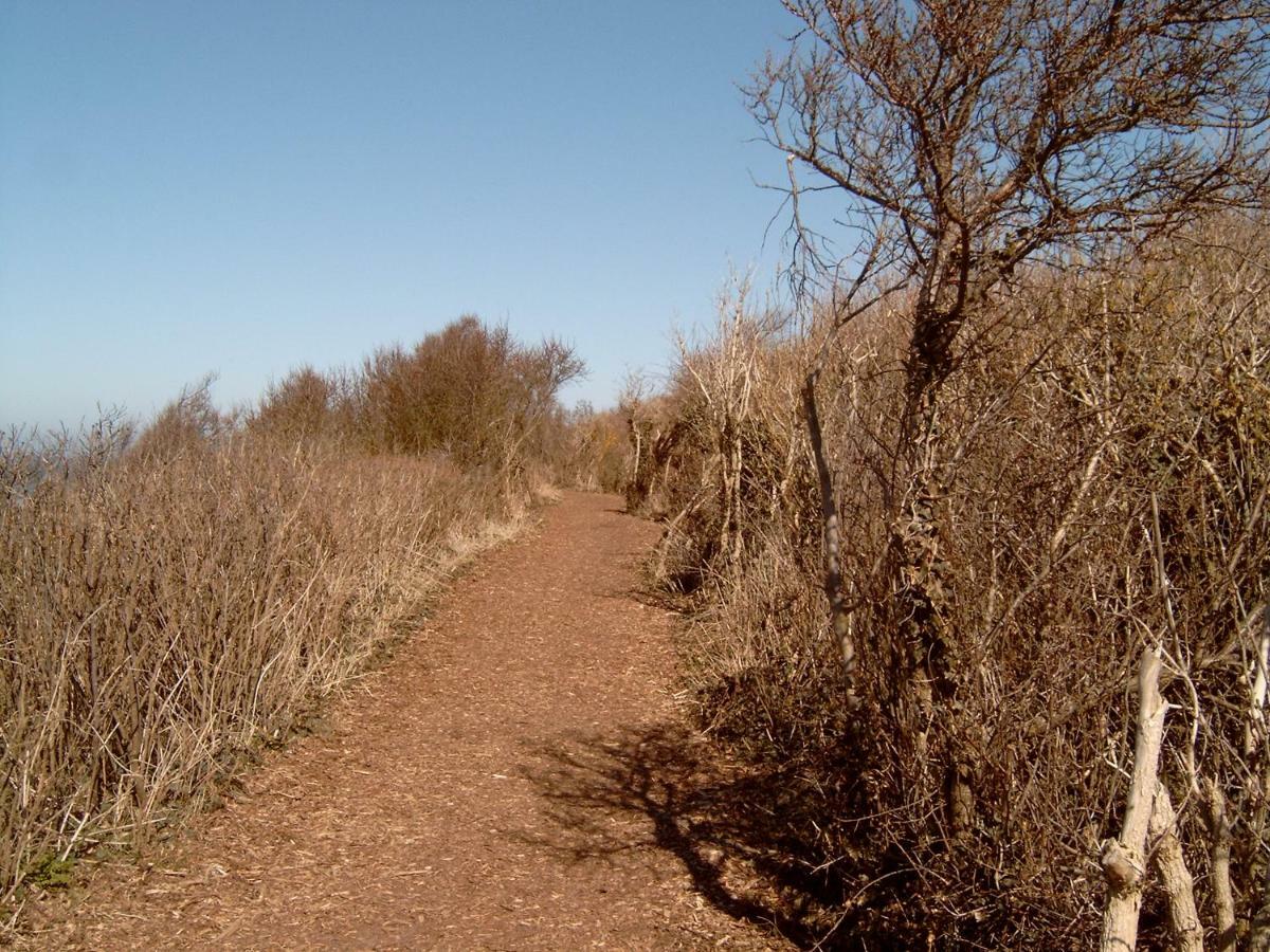 דירות בורן Urlaub Bei Hauenstein מראה חיצוני תמונה