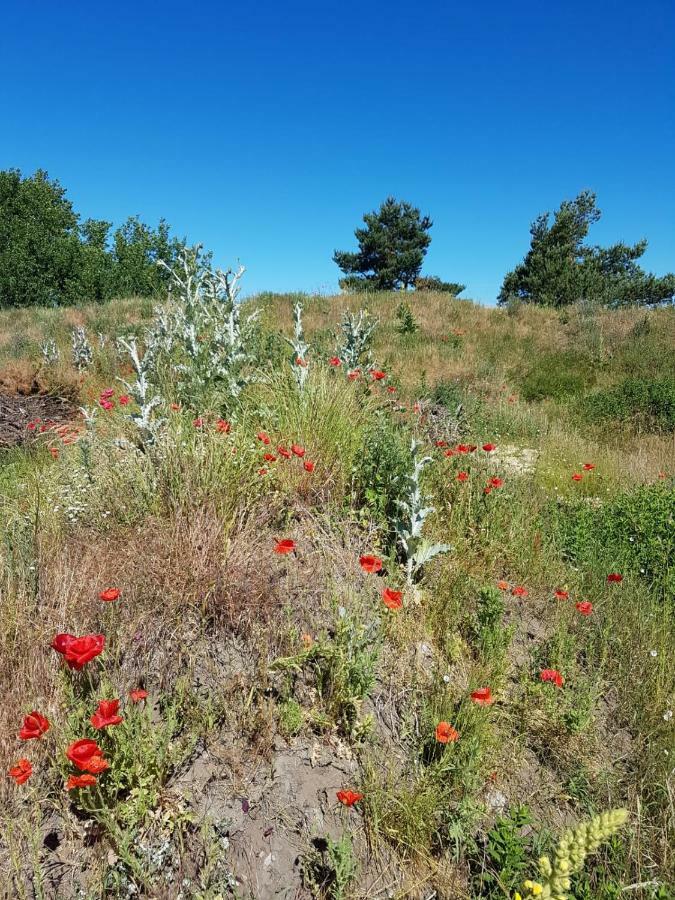 דירות בורן Urlaub Bei Hauenstein מראה חיצוני תמונה